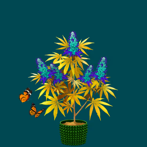 NFTokin #8864