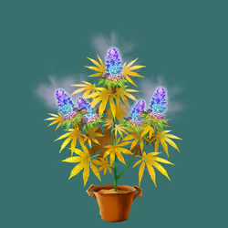 NFTokin #7959