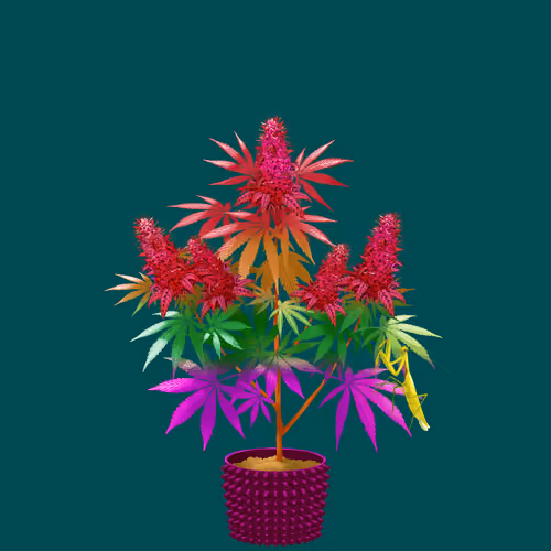 NFTokin #10949