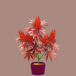 NFTokin #3151
