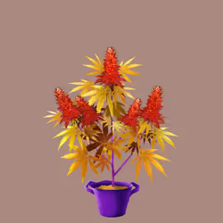 NFTokin #9155
