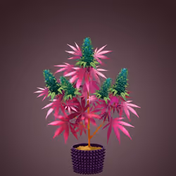 NFTokin #4294