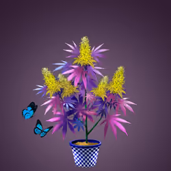 NFTokin #6936