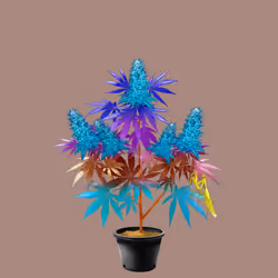NFTokin #9209