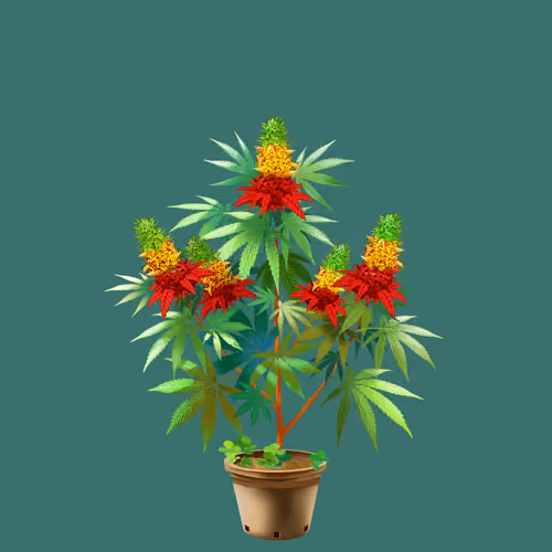 NFTokin #9944