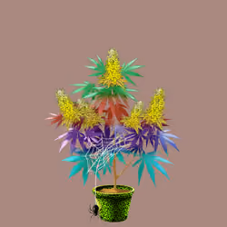 NFTokin #5531