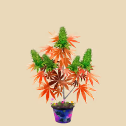 NFTokin #7224