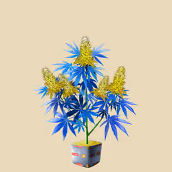 NFTokin #9634