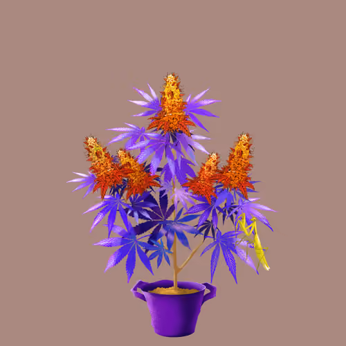 NFTokin #11661