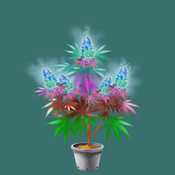 NFTokin #5551