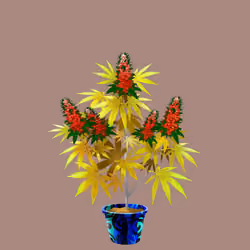 NFTokin #58