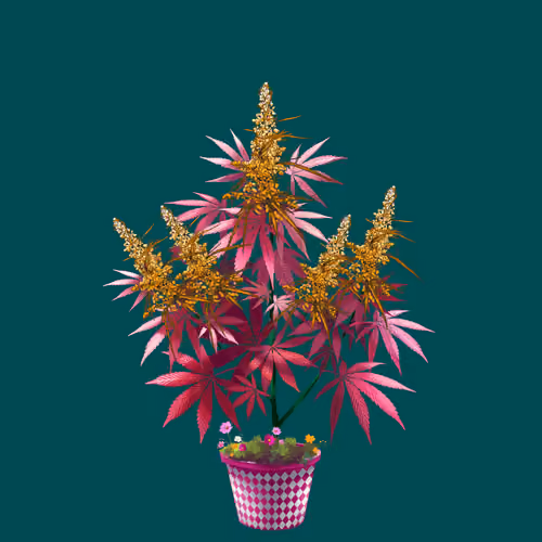 NFTokin #11887