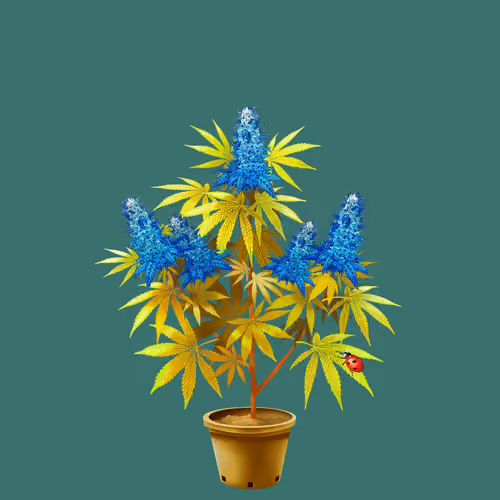 NFTokin #11852