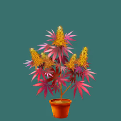 NFTokin #12036
