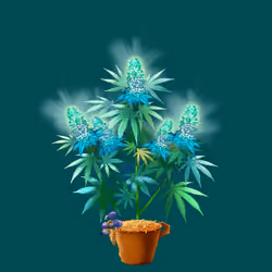 NFTokin #3294