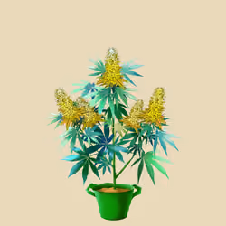 NFTokin #7405