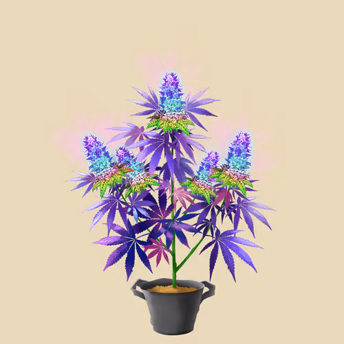 NFTokin #6916