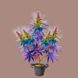 NFTokin #54