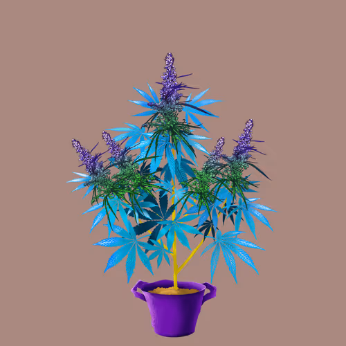 NFTokin #12170