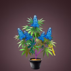 NFTokin #5907