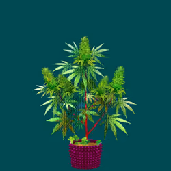 NFTokin #2607