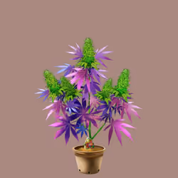 NFTokin #6187