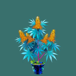 NFTokin #10125
