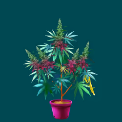 NFTokin #3571