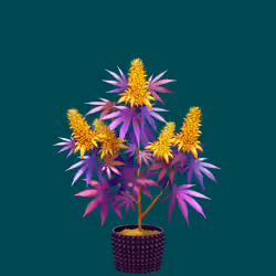 NFTokin #5846