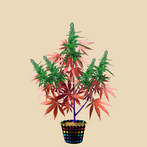 NFTokin #11329