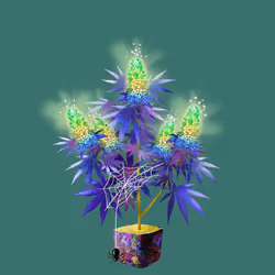 NFTokin #12647