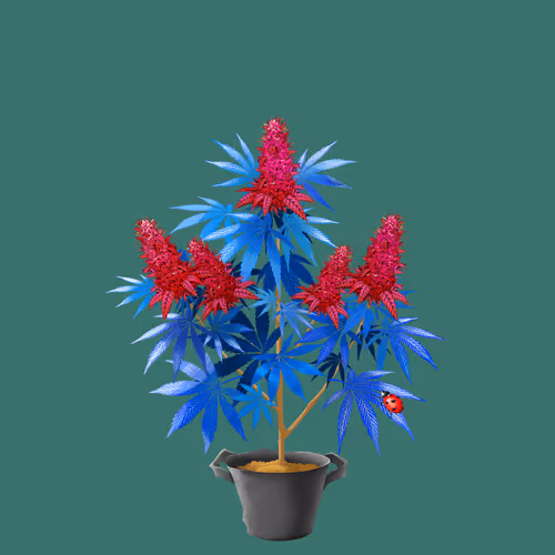 NFTokin #6410