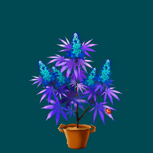 NFTokin #10633