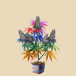 NFTokin #2165