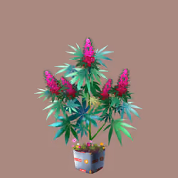 NFTokin #11229
