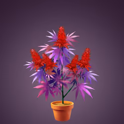 NFTokin #8536