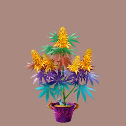 NFTokin #9112