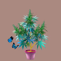 NFTokin #2336