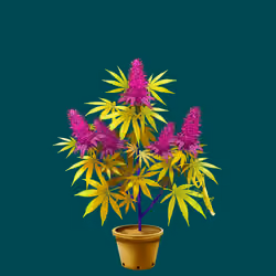 NFTokin #5812