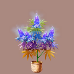 NFTokin #2826