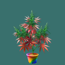 NFTokin #7757