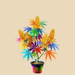 NFTokin #6456