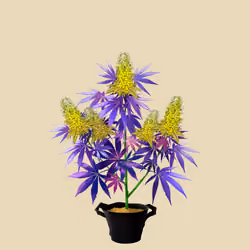 NFTokin #947