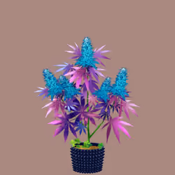NFTokin #1129