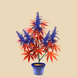 NFTokin #6389