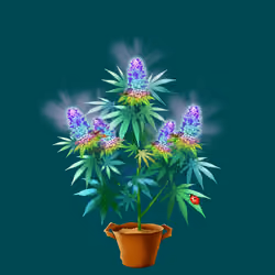 NFTokin #9071