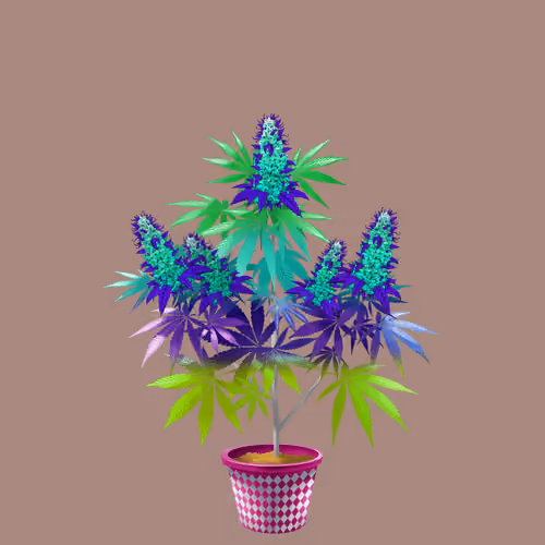 NFTokin #9500