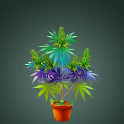 NFTokin #10752