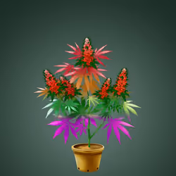 NFTokin #8159