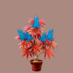 NFTokin #1810